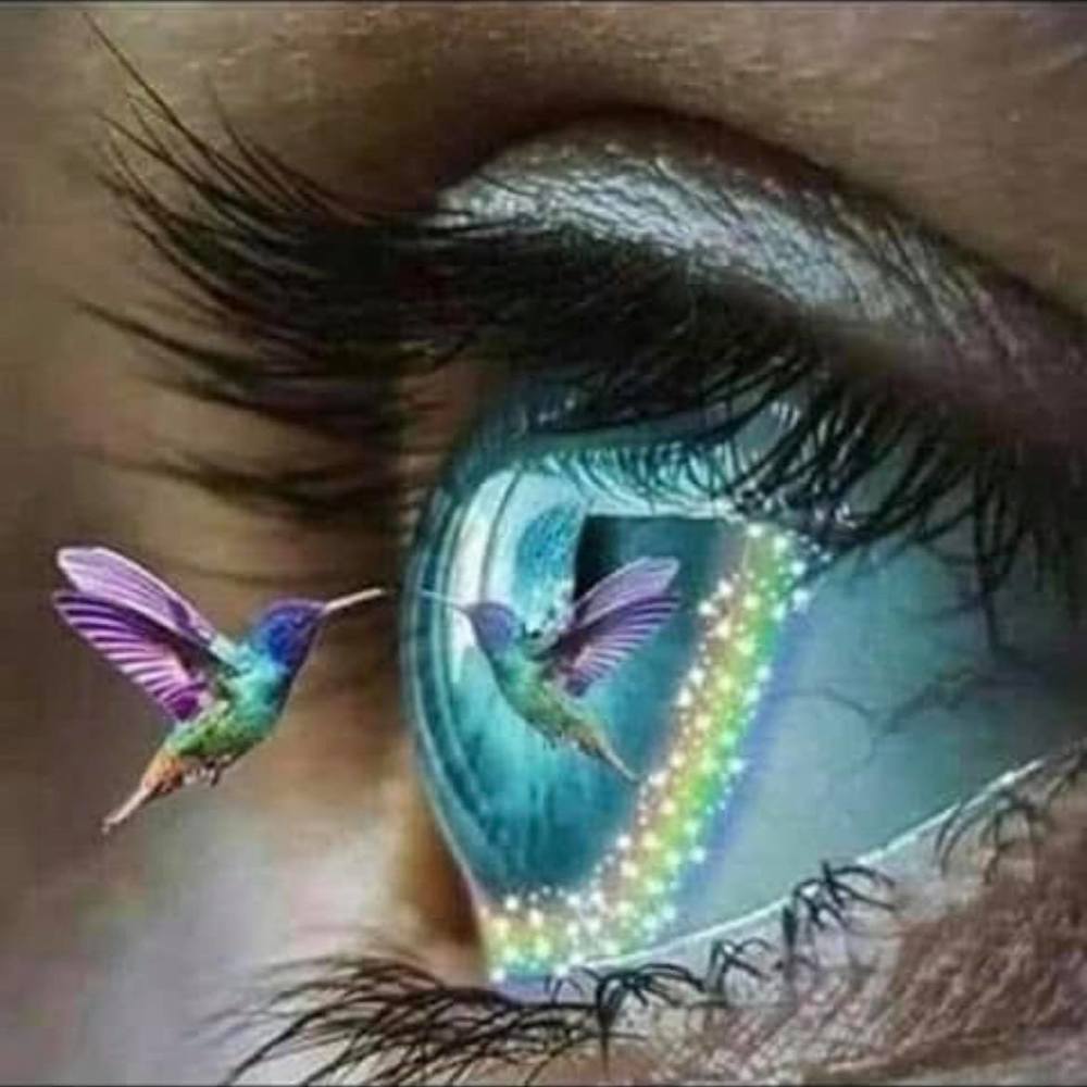 Meet your Posher, Synthia